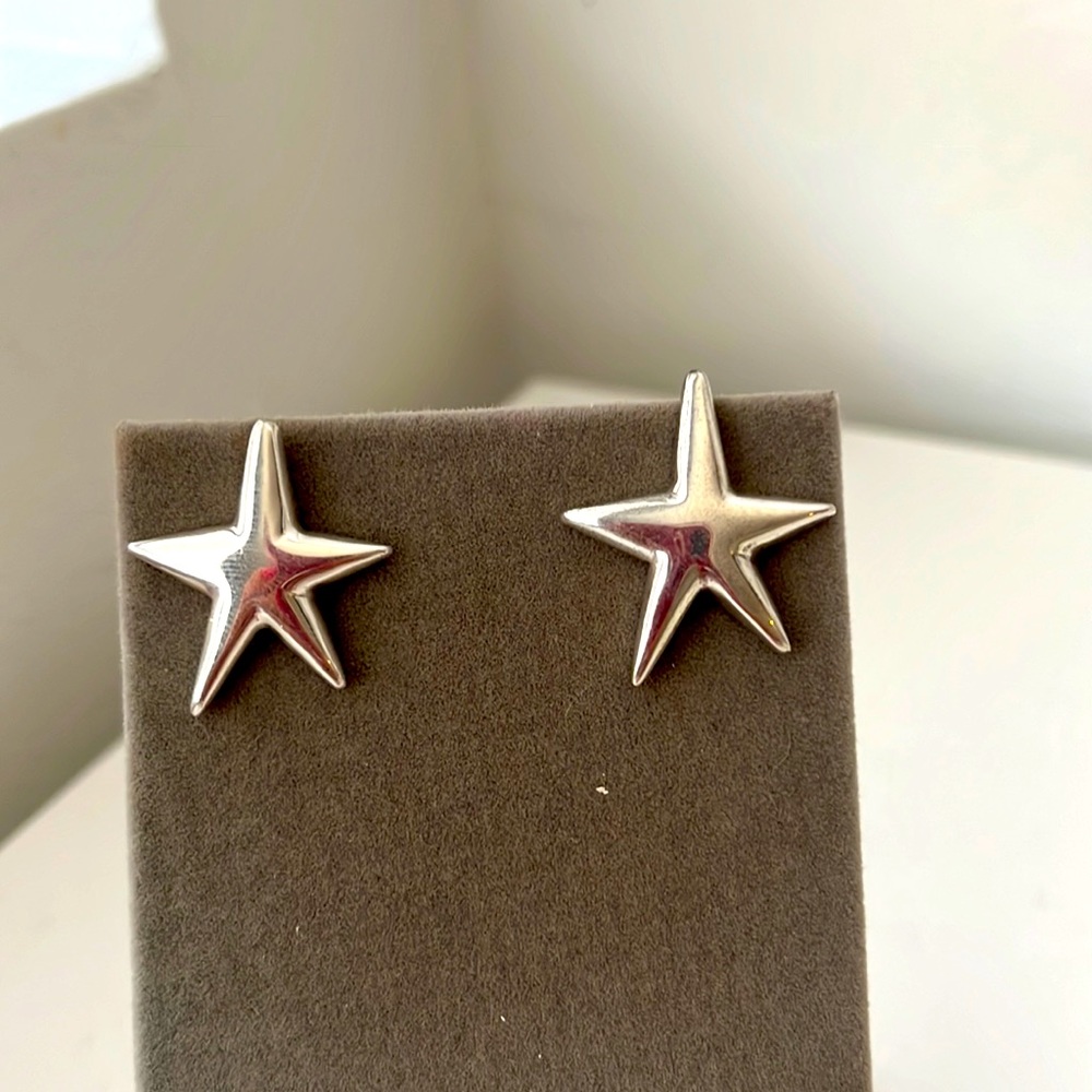 Barra 925 sterling silver earrings